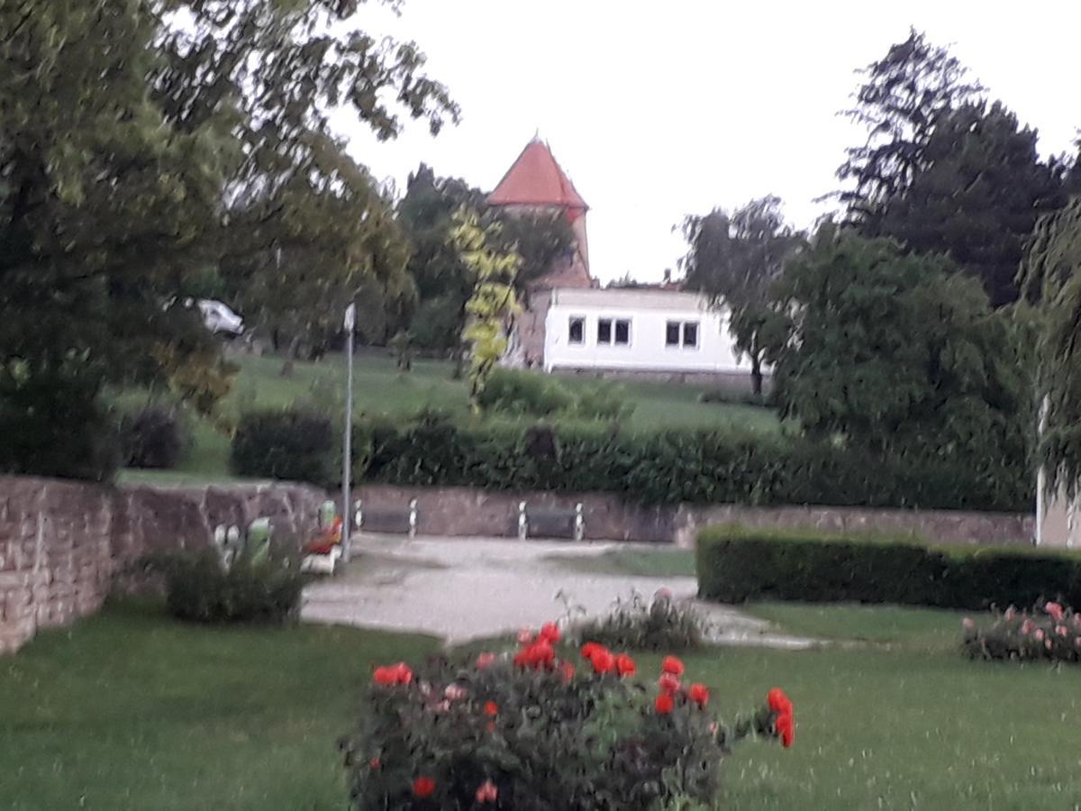 Fényes Vinorium Panzió Acomodação com café da manhã Sopron Exterior foto